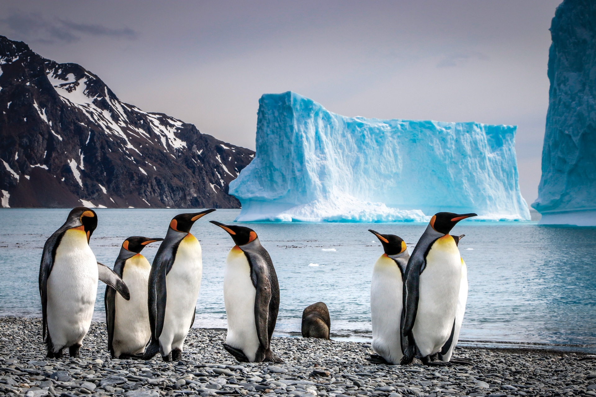 Antarctica Complete Aurora Expeditions Expedition Vacations