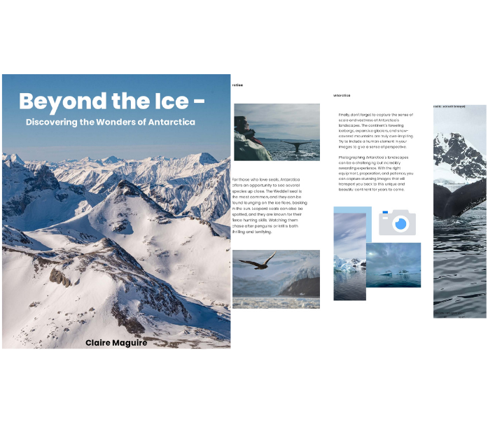 Beyond the Ice - Discovering the wonders of Antarctica Book​