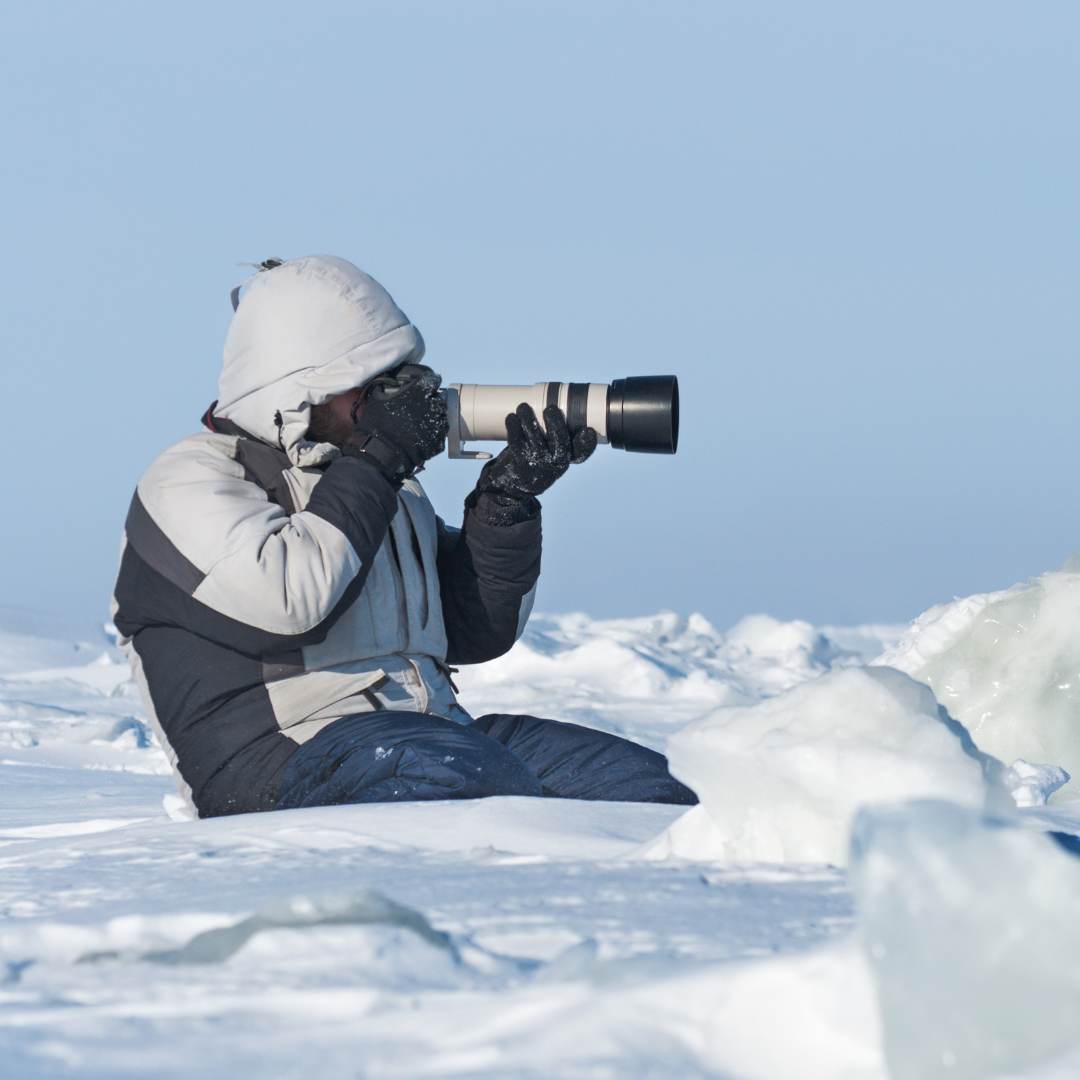 Arctic Photography: Capturing the Majesty of the Icy Landscapes