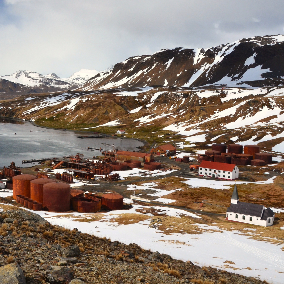 Grytviken: South Georgia’s Historic Whaling Station