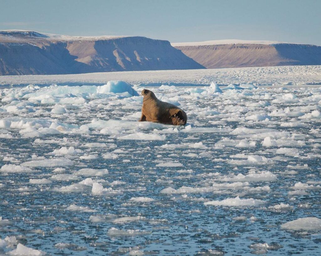 Canada’s Remote Arctic 1