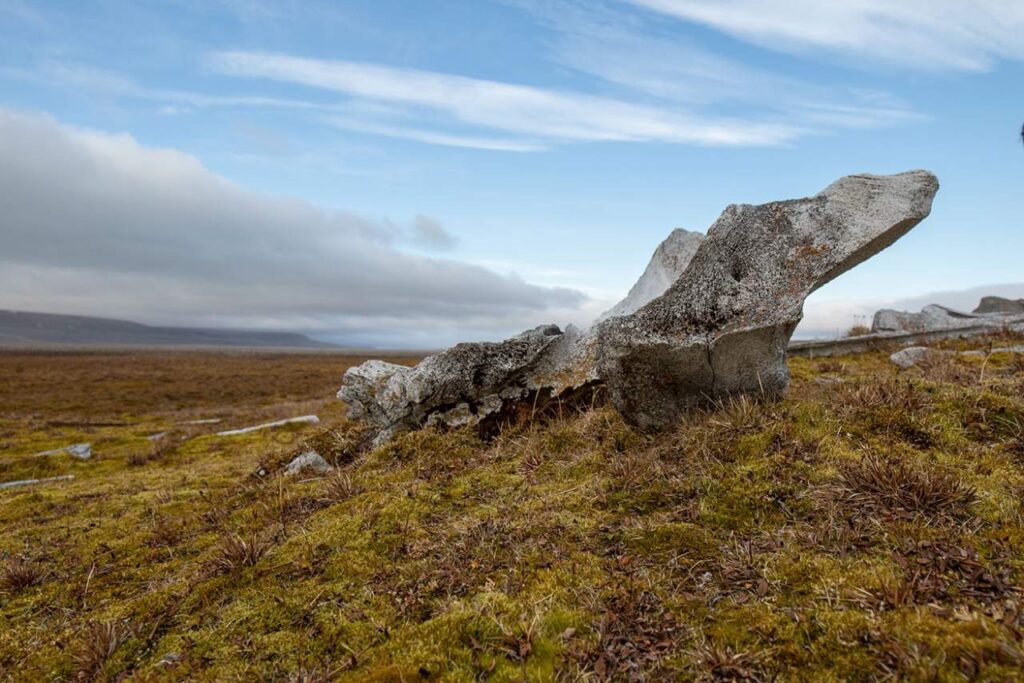 Canada’s Remote Arctic 1