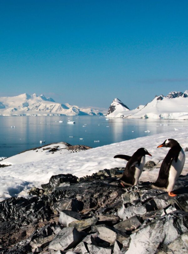 Antarctic Destinations