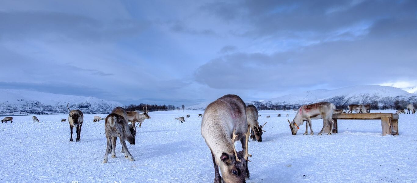 Tormoso Norway