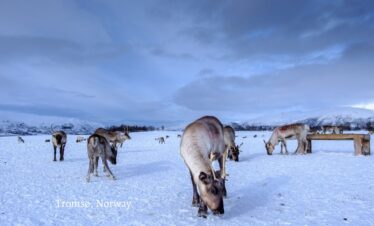 Tormoso Norway