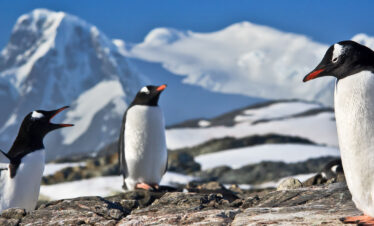 Antarctica in Depth (Scenic)