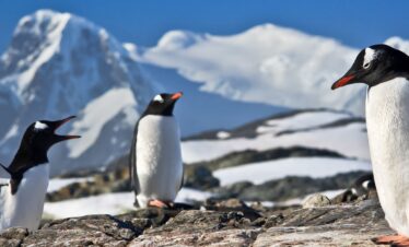 Beyond the Antarctic Circle (Scenic)