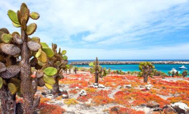 Icons of South America & Antarctica – a cruise & land journey (Scenic)