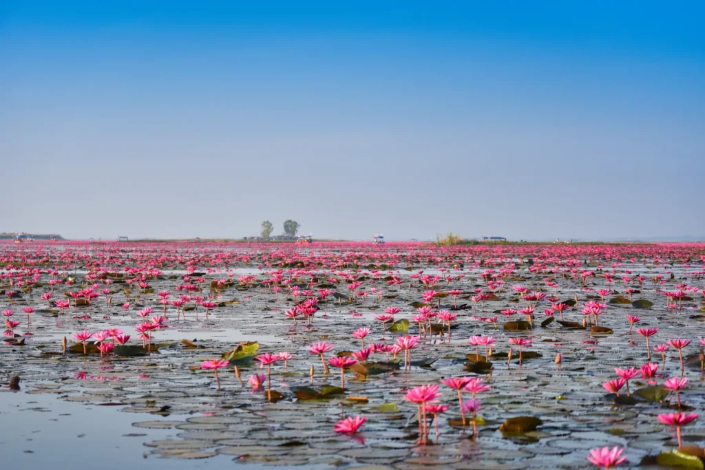 Aqua Mekong Expedition Cruise: Siem Reap-Ho Chi Minh City(Aqua Expeditions)