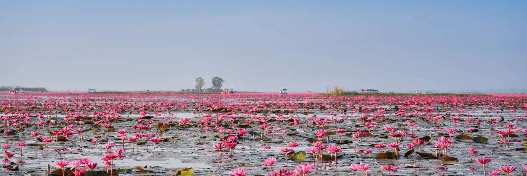 Aqua Mekong Expedition Cruise: Siem Reap-Ho Chi Minh City(Aqua Expeditions)