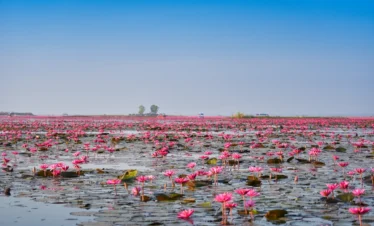 Aqua Mekong Expedition Cruise: Siem Reap-Ho Chi Minh City(Aqua Expeditions)