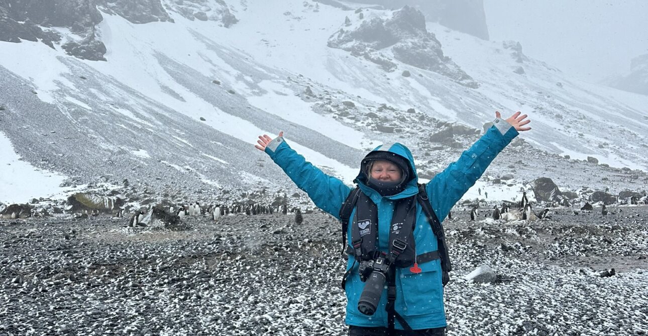 Antarctica vs. Arctic Wildlife: What You’ll See and Why It’s Completely Different